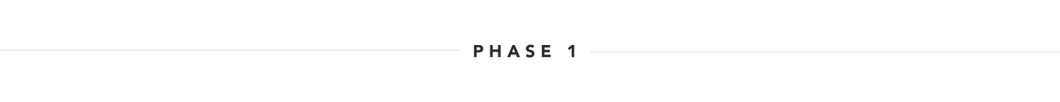 Phase 1