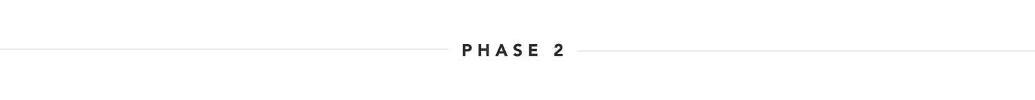 Phase 2