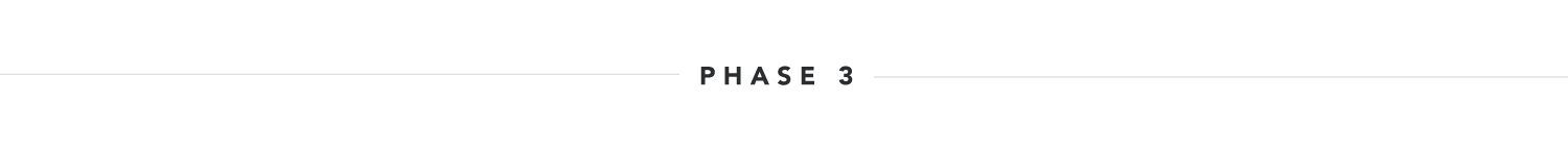Phase 3