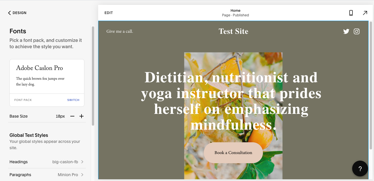 Squarespace editor and customization options