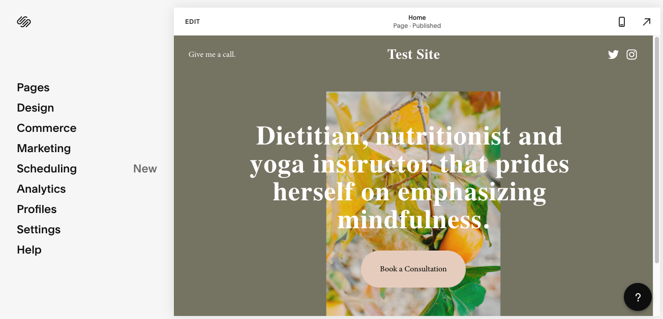 A sample test site made with Squarespace